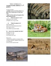 Wild animals 2