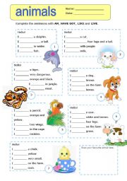 English Worksheet: to be and to have