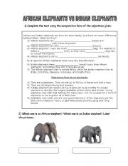 English Worksheet: African elephants X Indian elephants