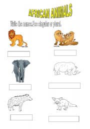 English Worksheet: AFRICAN ANIMALS