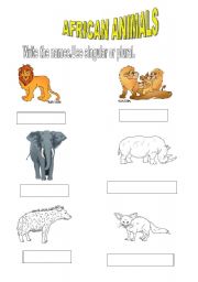 English worksheet: AFRICAN ANIMALS