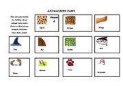 English worksheet: Animals Body Parts