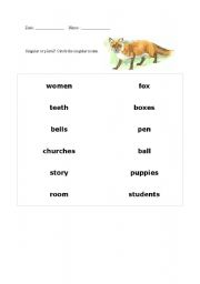 English worksheet: singular - plural exercise