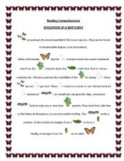 English Worksheet: Evolution of a Butterfly