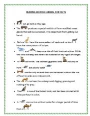 Animal Fun Facts - ESL worksheet by briliya
