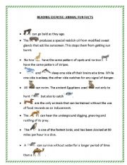 English Worksheet: Animal Fun Facts