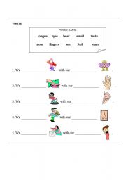 English worksheet: SENSES