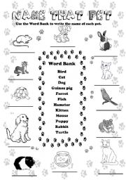 English Worksheet: Name That Pet