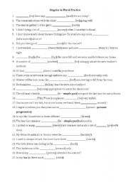 English Worksheet: Count & Noncount / Singular & Plural Exercise