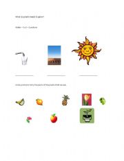 English worksheet: What the plants need