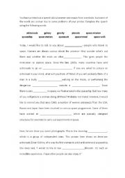 English worksheet: Space related vocabulary: Fill in the blanks exercise