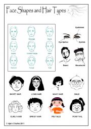 English Worksheet: Face Shapes and Hair Types