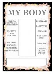 English worksheet: Body Image