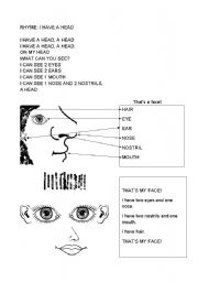 English Worksheet: thats a body
