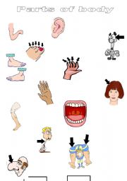 English worksheet: Parts of body