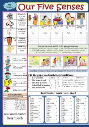 English Worksheet: Body : Our five senses 