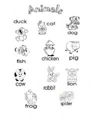 English Worksheet: animals