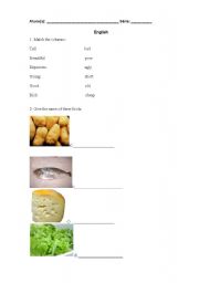 English worksheet: Adjectives and vocabulary about food.