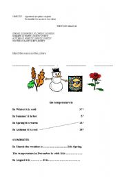 English worksheet: SEASONS AND TEMPERATURE