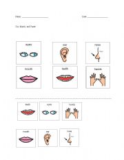 English worksheet: Body Part Matching