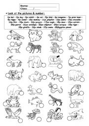 English Worksheet: Animals