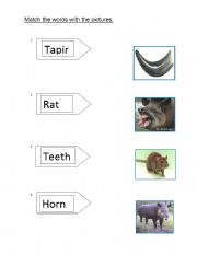 English worksheet: how tapir got its colour