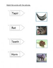 English Worksheet: how tapir got its colour