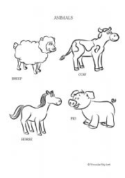 English Worksheet: FARM ANIMALS