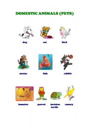 English worksheet: Animals