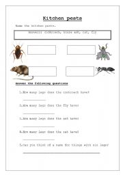 English worksheet: Kitchen pests