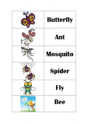 English Worksheet: Insects