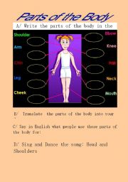 English Worksheet: 4 Activities related to the Parts of the Body- Primary Education