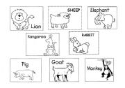 English Worksheet: Farm animals