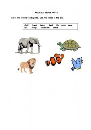 English Worksheet: animals body parts