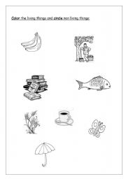 English worksheet: living things and non living things 