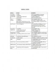 English Worksheet: modal verbs