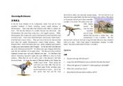 English Worksheet: dinosaurs