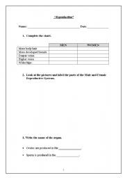 English worksheet: reproduction