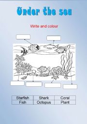 English Worksheet: Under the Sea 
