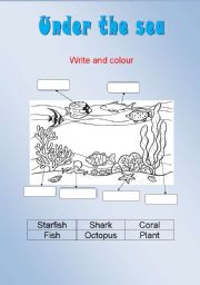 English Worksheet: Under the Sea 
