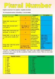 English Worksheet: plural number