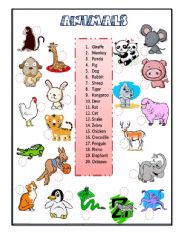 English Worksheet: animals