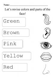 English Worksheet: revise parts of the face