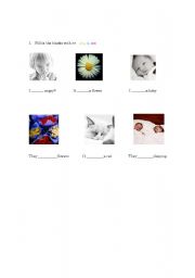 English Worksheet: be verb