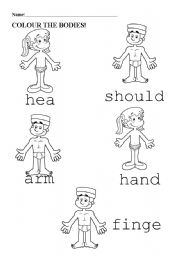 English worksheet: the body