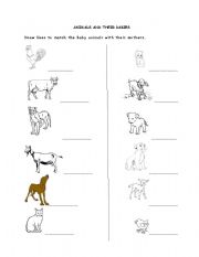 English Worksheet: Animals and their babies