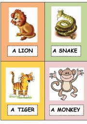 English Worksheet: Wild animal flashcards