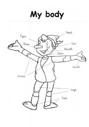 English Worksheet: Pinocchios body parts