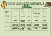 English Worksheet: Vertebrate Animals