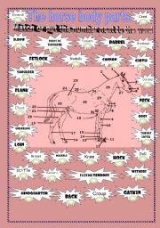 English Worksheet: The horse body parts 
